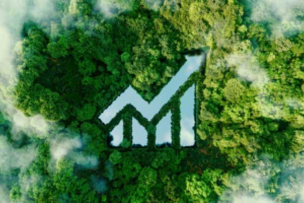 7月30日下午国内部分焦企召开市场分析会：焦炭第五轮提涨将于自7月31日零时起开启！